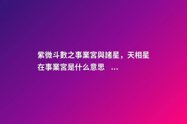 紫微斗數之事業宮與諸星，天相星在事業宮是什么意思？